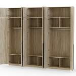 Шкаф распашной Айва 17 BMS - Фото 12