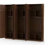 Шкаф распашной Айва 17 BMS - Фото 16