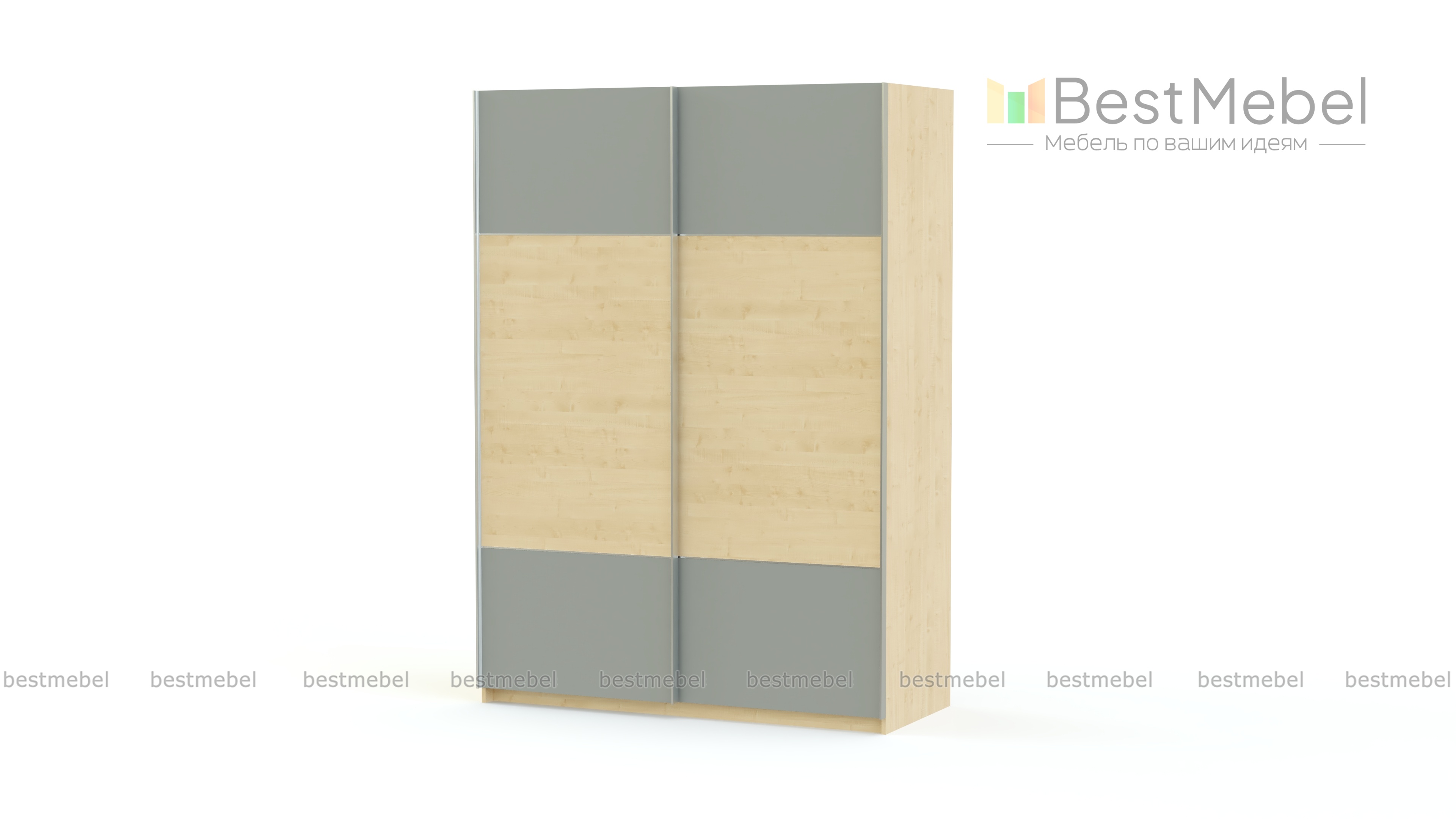 Шкаф-купе D01 225 BMS