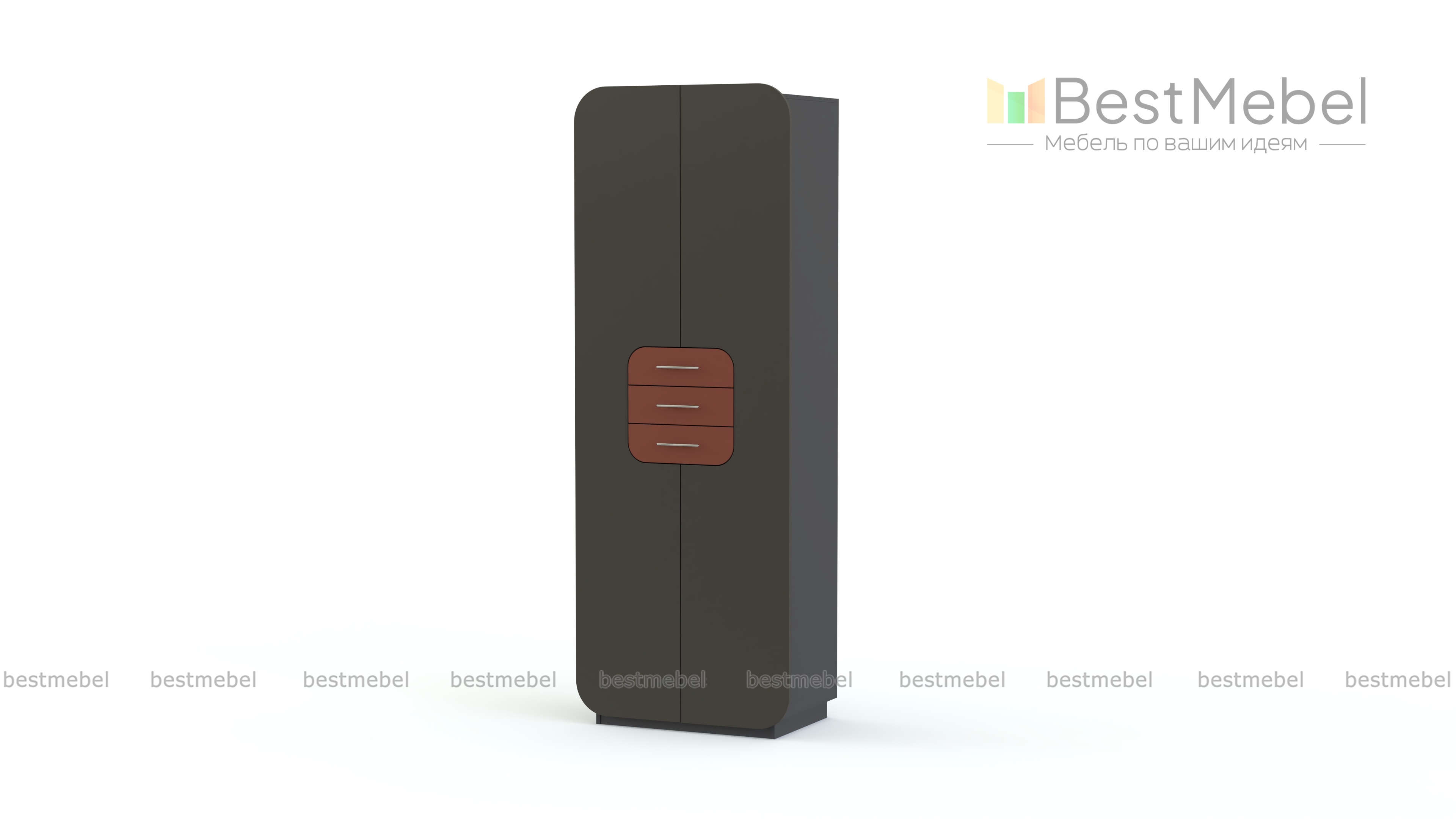 Распашной шкаф Модерно 4.1 BMS